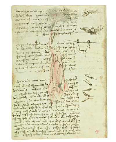 Codex over de vlucht van vogels, Folio 17 verso door Leonardo da Vinci